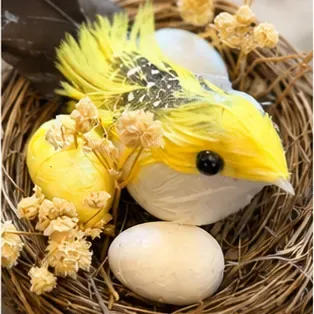 Nestje met vogel en eitjes, de eitjes