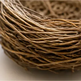 Nestje met vogel en eitjes, het takjeswerk