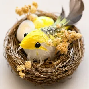 Nestje met vogel en eitjes, het vogeltje
