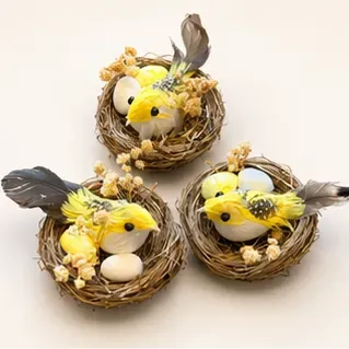 Nestje met vogel en eitjes, de nestjes