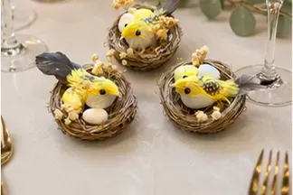 Nestje met vogel en eitjes in gebruik, diner