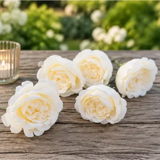 Witte roosjes (set van 5)